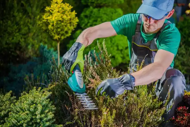 landscaping services Sardis